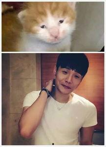 喵星娱乐吃瓜群众是谁啊